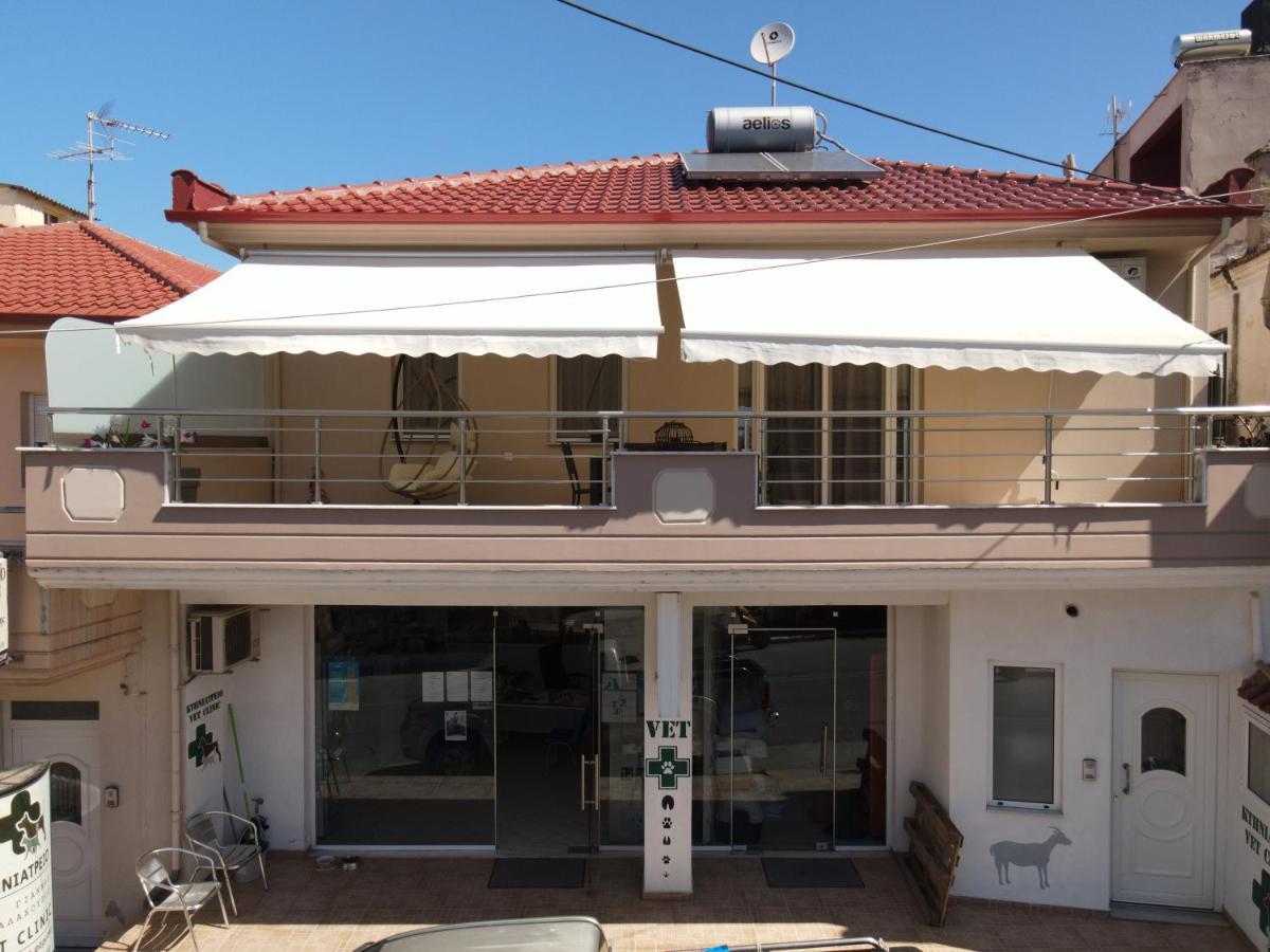 Casa Ideale Limenaria  Exteriér fotografie